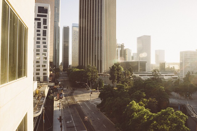 los-angeles-498285_640